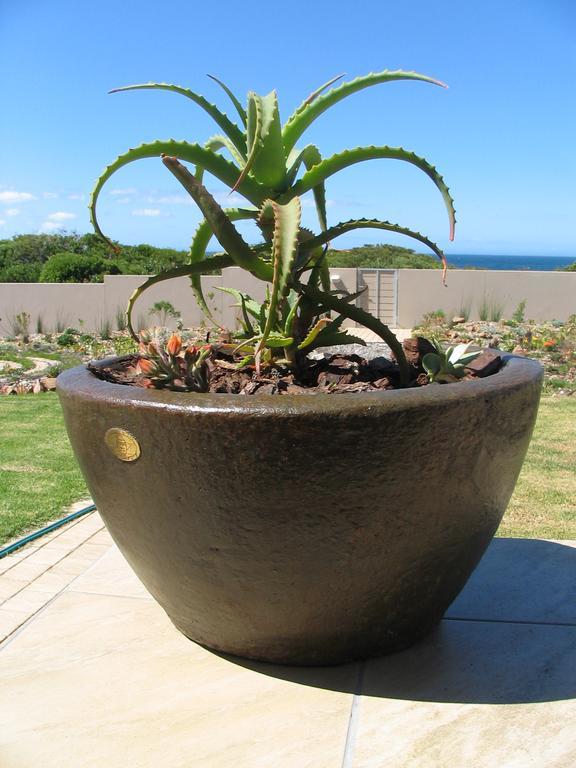 Bella Vista Onrus Villa Hermanus Ngoại thất bức ảnh